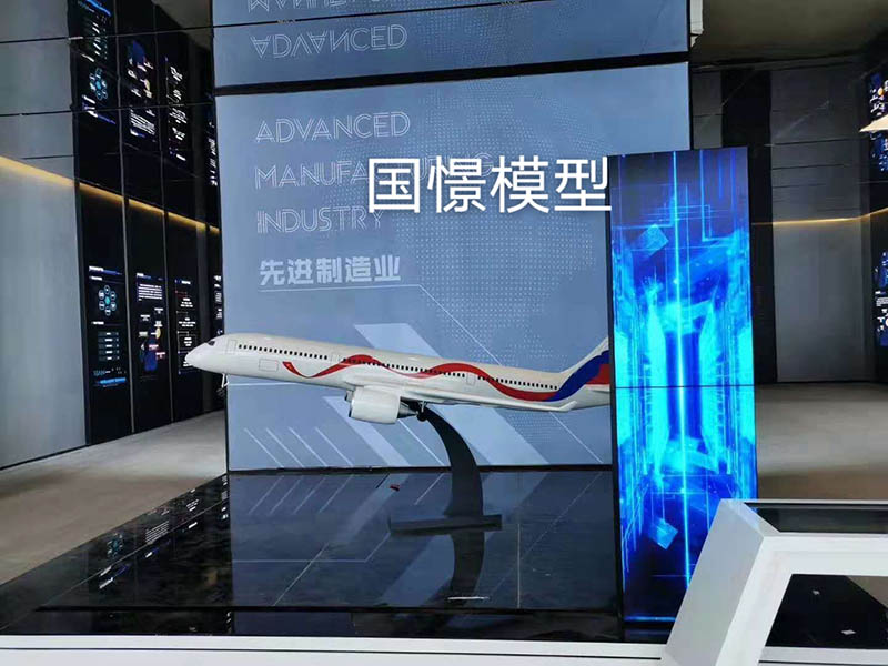泸溪县飞机模型